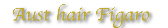 Aust hair Figaro Hiroshima